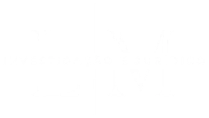 Logo LM - Leonardo Menezes Investigação e Jurídico