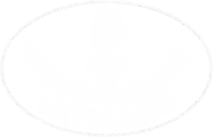 Logo-Vaticano-removebg-preview